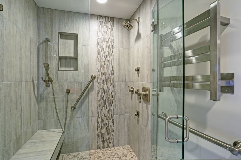 Sleek Shower Renovation